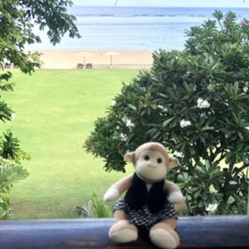 ご挨拶 & 当たる！と話題の占い初体験✨