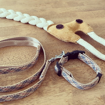 はじめまして、セルリです。