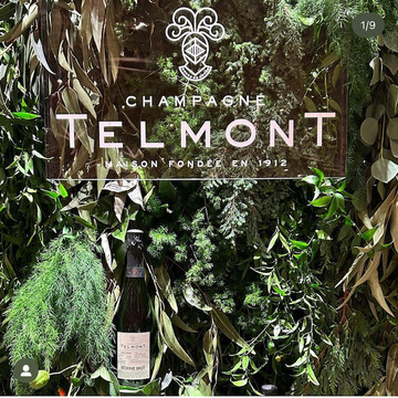 いまもっともサスティナビリティなシャンパーニュ・テルモン