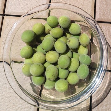 素敵な先輩マダムとメダリストとの出逢い