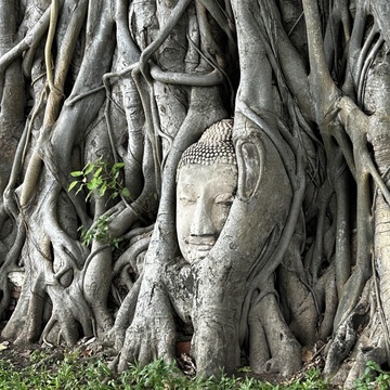 アユタヤ王朝の遺跡巡り｜タイ  世界遺産を歩いてめぐる旅 Ayutthaya อุทยานประวัติศาสตร์พระนครศรีอยุธยา