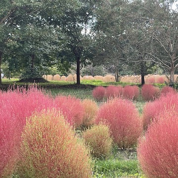気候も良くなって初レンタカーでドライヴ