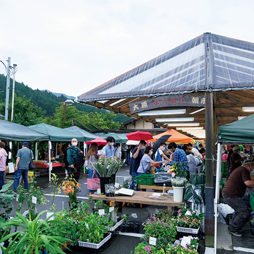 とれたて野菜のほかにも楽しみ満載！「大原ふれあい朝市」【センスあふれる京都・大原】