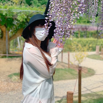 優しさ・歓迎・決して離れない…藤の花の花言葉✿