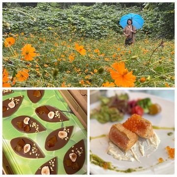 那須高原のお気に入りカフェは秋の気配