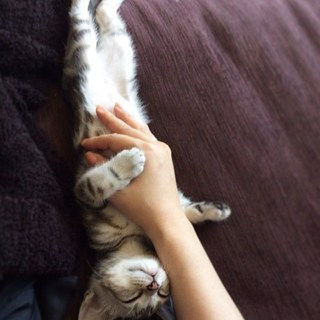 土曜日は蔵出しアラン