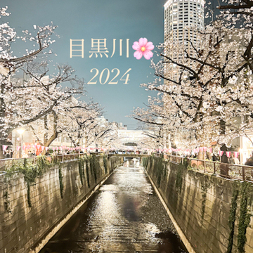 中目黒🌸まつり2024【夜桜編】