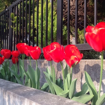 「季節を感じる」歩いてみて..飾ってみて...