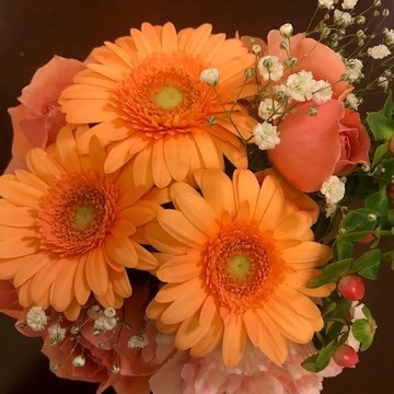 はじめまして！～チームJマダムブログスタート～