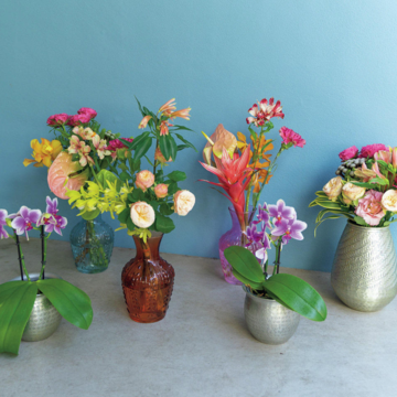 植物空間をデザインする「ヤード ワークス」ほか、神真美さんの右腕アドレス