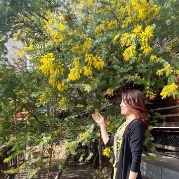 ミモザが美しい蔵前神社へ