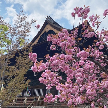 長野  善光寺御開帳への旅