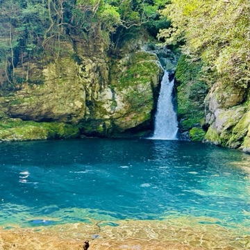 奇跡の清流（高知・仁淀川）へ、仁淀ブルー（にこ淵）を求めて♡