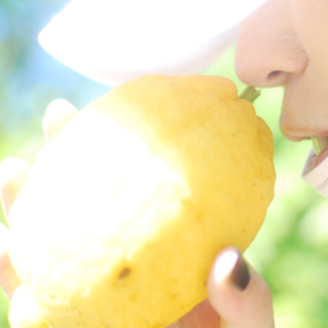 【さかぽんの冒険】海からの風香るレモン狩り❤️@真鶴〜2日目③