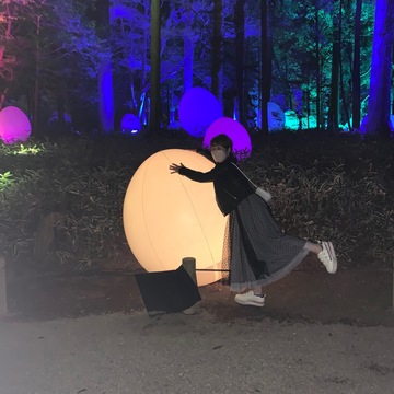 光の祭典を楽しんできました