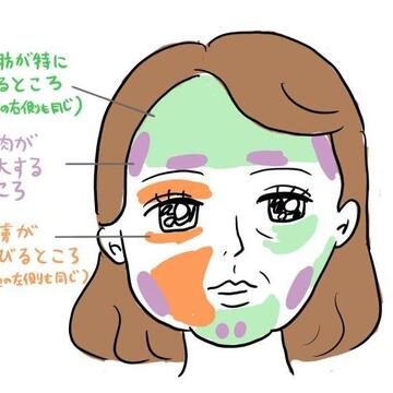 年をとると顔が大きくなって四角化していくのは気のせいじゃない！その理由とは？　