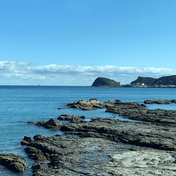 2022年　お正月旅　自然豊かな南紀勝浦・太地町へ