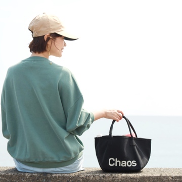 カオス×エクラトートで海さんぽ