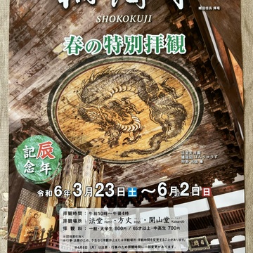 そうそう、京都、行ってきてん ④ 〜辰年・龍巡り開運ツアー 前編〜