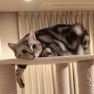 おうち時間（カメラの方が動く動画）