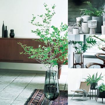 「インテリアグリーン」をセンスよく飾る7つのアイデア