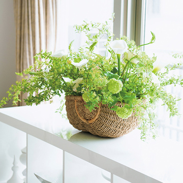 心華やぐ美しい花や緑！梅雨の季節は室内に緑豊かな庭を作ろう【Jマダム通信】