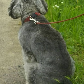 G.W.後半　後ろ姿の大切さ