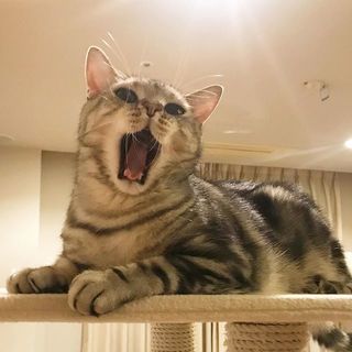 アランは熱唱中⁉