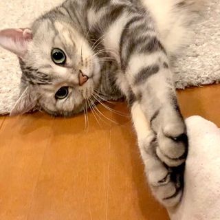 ママと一緒にエクササイズ！動画