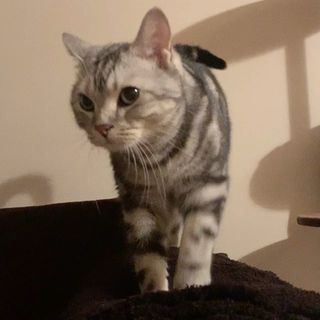 アランの在宅ワークとは⁉︎