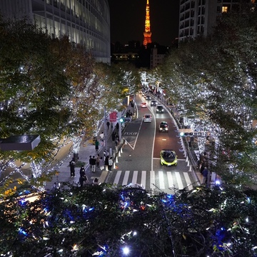 六本木ヒルズのイルミネーション