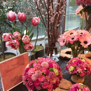 春爛漫！ニコライバーグマン 