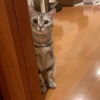 市原悦アラン？　見てます！