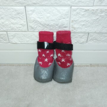 夏の足元事情(相棒編)