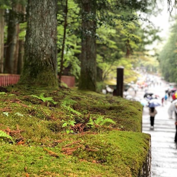 日帰り栃木県の旅【日光編】