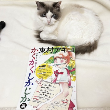 世田谷区豪徳寺に建つ水色の洋館で東村アキコさん♡その②