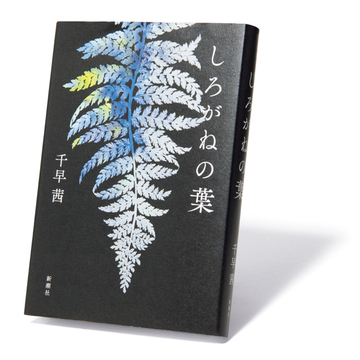 石見銀山が舞台のドラマティックな時代小説『しろがねの葉』【斎藤美奈子のオトナの文藝部】