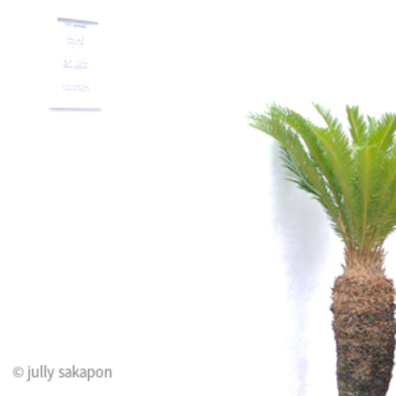 【さかぽんの冒険】☆New open☆ &t cafe @表参道