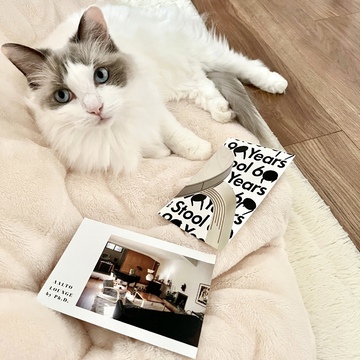 映画『アアルト』アフタートーク付き上映に行ってきました🚅