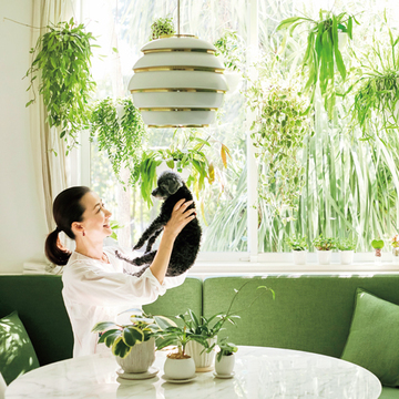 桐島かれんさんに聞く「鉢カバー選びのポイント」【グリーンを育てる幸せ、飾る楽しみ】