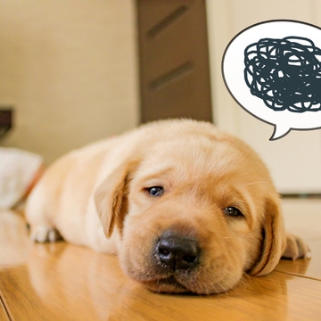 50代女性のホンネ：やってしまった！　断捨離の失敗あるある