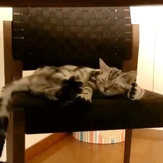 たまらないかわいさ！　お顔、ギュ〜ッ