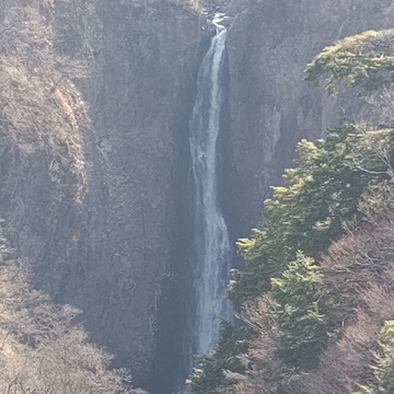 更年期の運気、白蛇で上がる ！