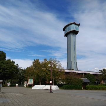 田んぼアートを見に行ったのですが