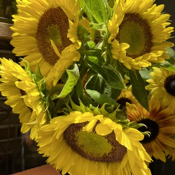 やっぱりふらっと吉祥寺へ