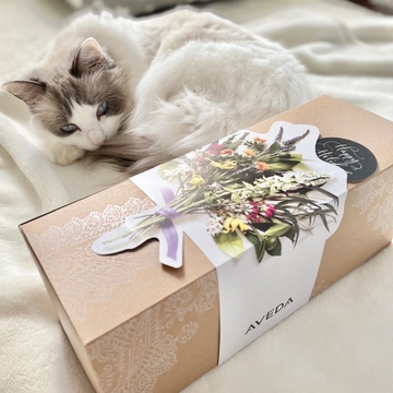 妹からのクリスマスプレゼント