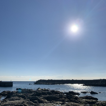【三崎のマグロ】海の見える食堂 まるよし食堂  海かけ丼 