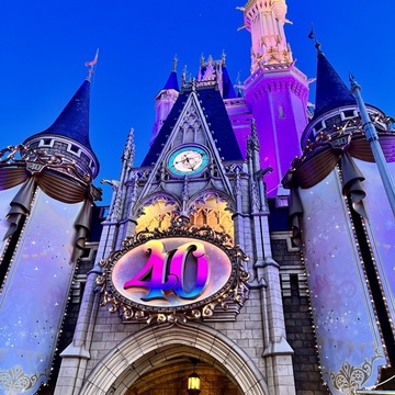 真冬のディズニーランド☆アラフィーも楽しみました