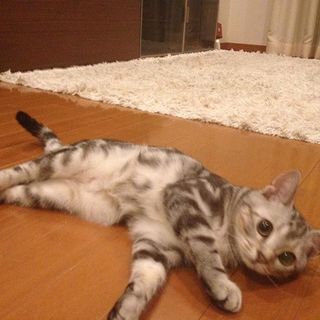 遊びたい盛りのベビーアラン