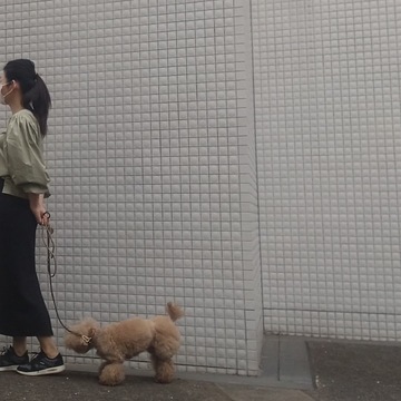【ユニクロ】のスカートでワンコとお散歩